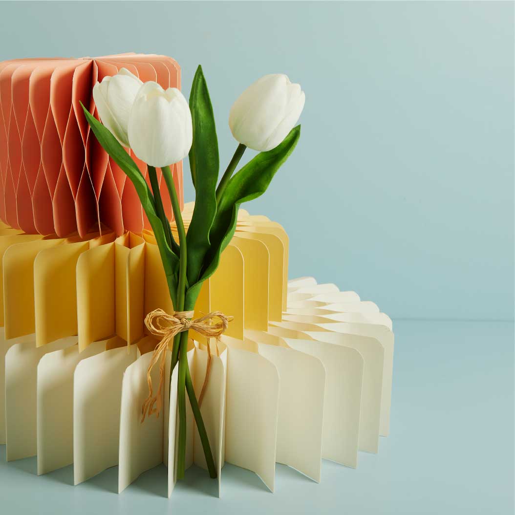 26993 - set 3 pz tulipani bianchi